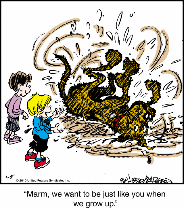 marmaduke